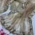 Chiku Color Dual sequin Embroidery Work Net Saree