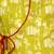 Green printed cotton jungle jam kurta pyjama set for boys