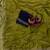 Olive zarkhan Diamond Work Silk blend Saree