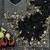 black multicolored embroidery sequin work rangoli silk blend saree