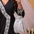 CRISTALLO SILVER POTLI BAG