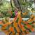 Yellow faux georgette printed with kutchi patche work navratri flared gown
