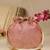 Pink floral embroidered potli bag
