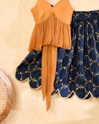 Blue lehenga top set 3
