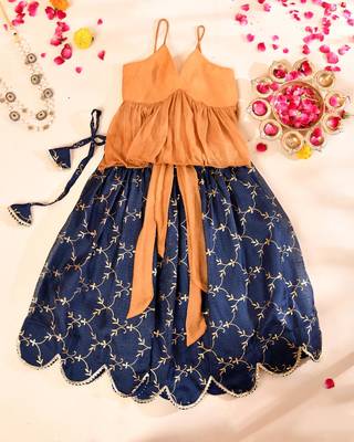 Blue lehenga top set 4