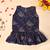 Blue block dress