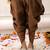 Brown embroidered silk kurti dhoti with dupatta set for girls