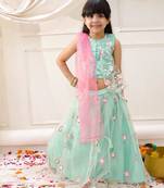 Green embroidered net lehenga choli with dupatta set for girls
