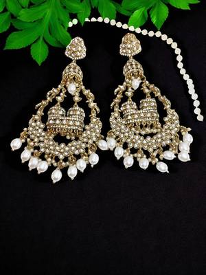 Multicolour deginer party wear earrings for woman 2
