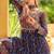 Women Gorgeous Bandhani Printed Faux Georgette Fabric with Flared Gown