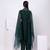 Green embroidered organza cape set