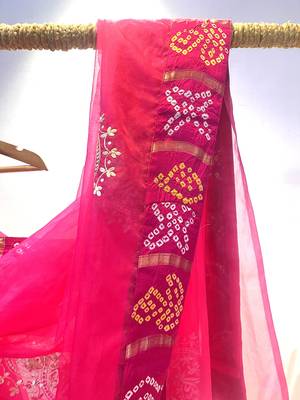 Organza pink saree with jajji silk border with blouse 3