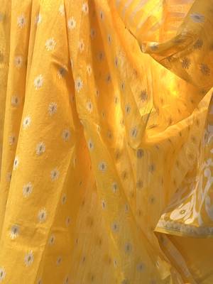 Handloom jamdani saree with blouse 2