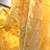 Handloom jamdani saree with blouse