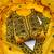 Women yellow chanderi cotton embroidered unstitched dress material with dupatta