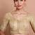 Light Gold Tissue Round Neck Embroidered Readymade blouse