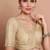 Light Gold Tissue Round Neck Embroidered Readymade blouse