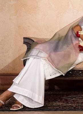 The luxury of our white chikan kari suit 2