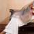 The luxury of our white chikan kari suit