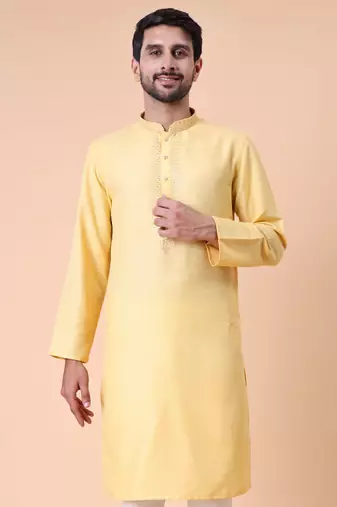 Men's mandarin collar embroidered cotton straight kurta
