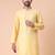 Men's mandarin collar embroidered cotton straight kurta