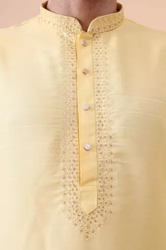 Men's mandarin collar embroidered cotton straight kurta