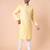 Men's mandarin collar embroidered cotton straight kurta
