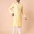 Men's mandarin collar embroidered cotton straight kurta