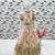 Glamour Heavy Fox Georgette Cream Gown With Digital Print work With Embroidered Sequins work 