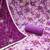 Women's multi unstitched digital print handwork banarasi cotton dress material (msmfc11573b)