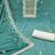 Women's sea green unstitched thread handwork embroidery premium roman cotton dress material (msmfc11581d)