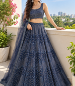 Navy Blue Net Lehenga with Heavy Sequins and Dori Party