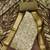 Women's olive green unstitched weaving digital print handwork banarasi cotton dress material (msmfc11585d)