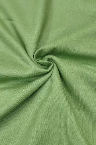 Women's light green thread embroidery handwork glass organza dress material