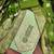 Women's light green unstitched weaving handwork simmar dress material (mt654grn)