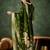 Organza silk dark green wedding wear meenakari work readymade salwar suit