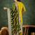 Viscose rayon parrot green casual wear embroidery work readymade salwar suit