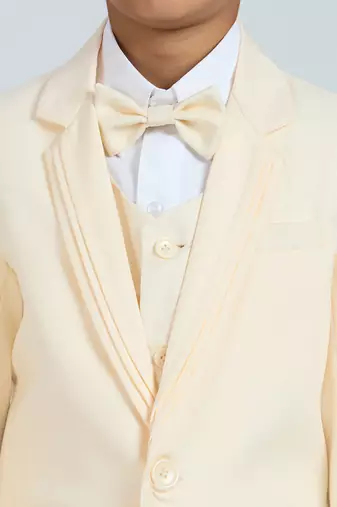 pleated suit set full sleeves blazer, shirt, pant and waist coat with bow tie - cream