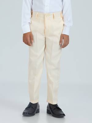 pleated suit set full sleeves blazer, shirt, pant and waist coat with bow tie - cream 5
