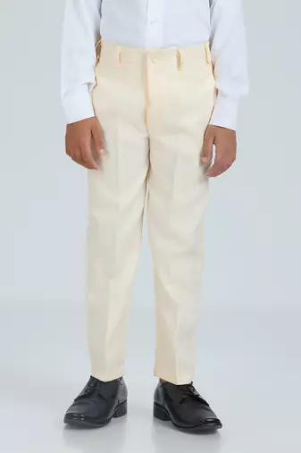 pleated suit set full sleeves blazer, shirt, pant and waist coat with bow tie - cream