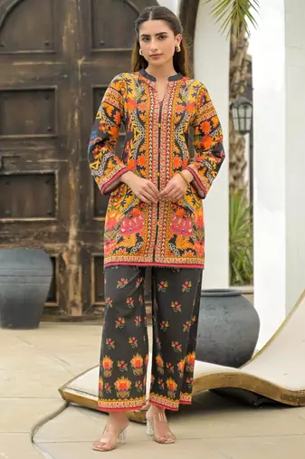 Pavitra ebony multicolor cotton printed co ord sets