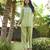 Sharad fern green cotton embroidered co ord sets