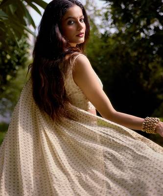 Cream embroidered georgette saree 3