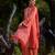 Coral   printed georgette kurta set