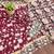 Wine printed cotton saree with blouse piece