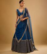 Blue Hand embroidered Georgette Lehenga