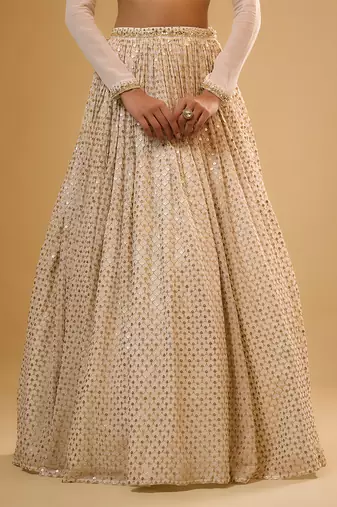 Ivory Hand embroidered Georgette Lehenga