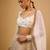 Ivory Hand embroidered Georgette Lehenga