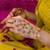 gold plated Multicolor hathphool in sterling silver