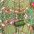 Women's multi unstitched print & daimond siroski work muslin cotton dress material (mt670grn)